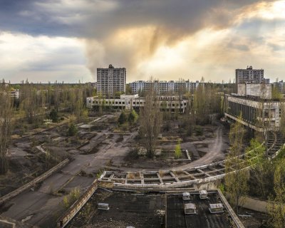 The exclusion zone around Chernobyl has become a new home for wildlife, researchers say. Stock image.  